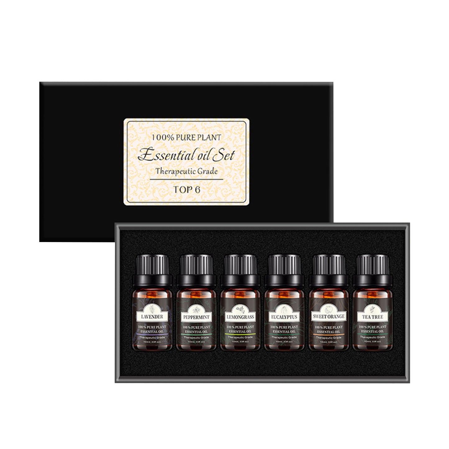 Aromatherapy Starter Pack - Trio / 6 Pack / 8 Pack Bundle